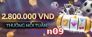 wynn09